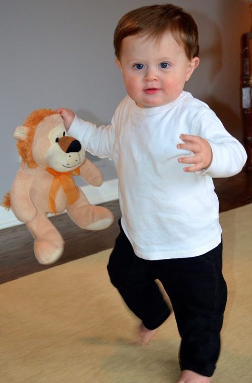 Will walking with lion
